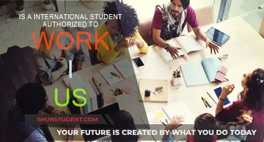 International Students: Work Rights in the US