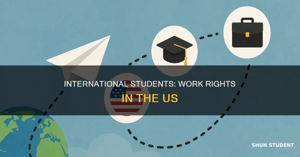 is a international student authorized to work i us