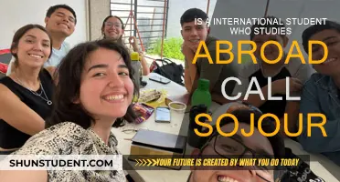 Sojourner: A Fitting Term for International Students Abroad