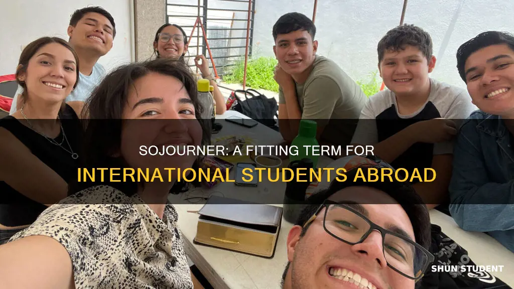 is a international student who studies abroad call sojourner