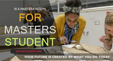 Pursuing a Master's: The Internship Advantage