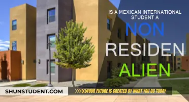 Understanding Non-Resident Alien Status as a Mexican Student