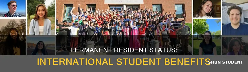 is a permanent resident an international student
