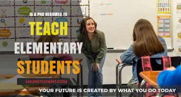 Teaching Elementary Students: Is a PhD Really Necessary?