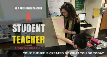 Pre-Service Teachers: Are They Student Teachers or Something More?