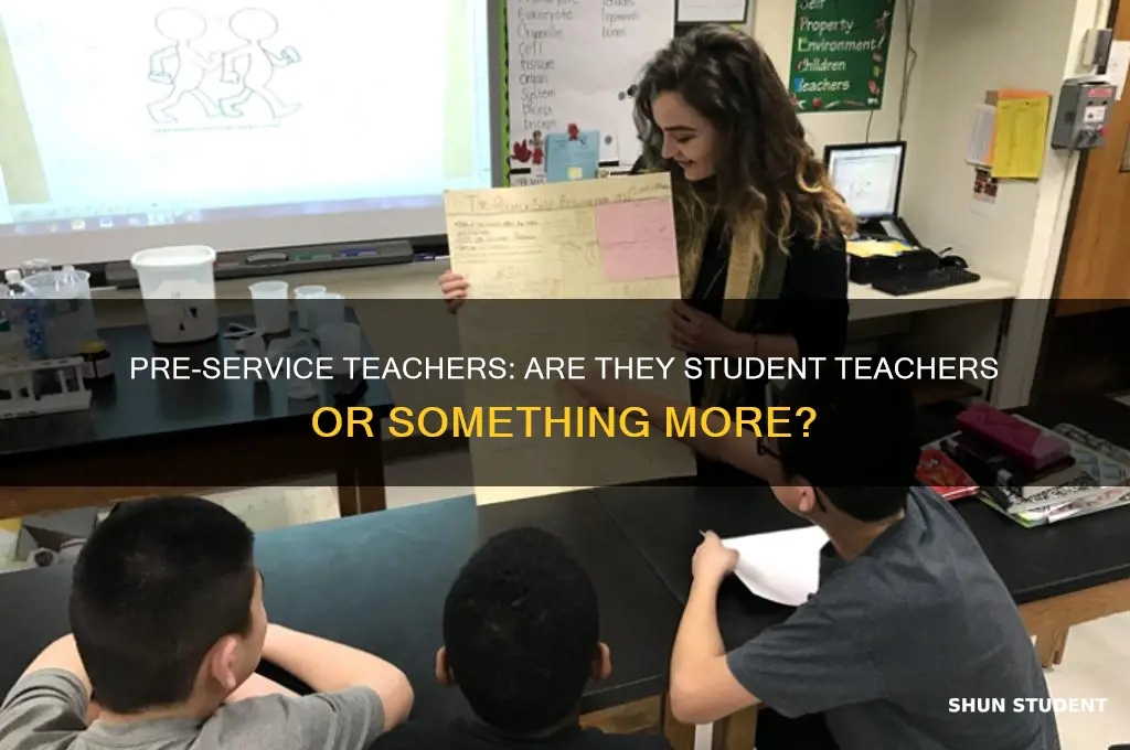 is a pre service teacher a student teacher