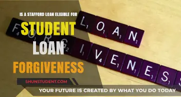 Stafford Loan Forgiveness: Eligibility and Options Explained