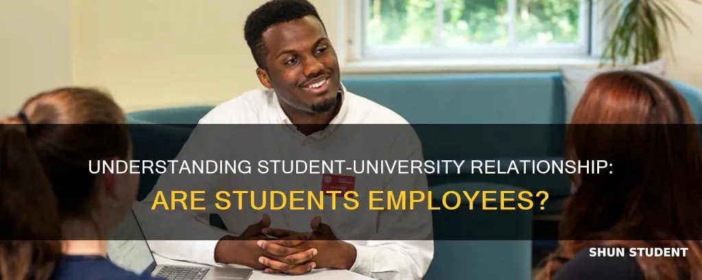 is a student a university employee