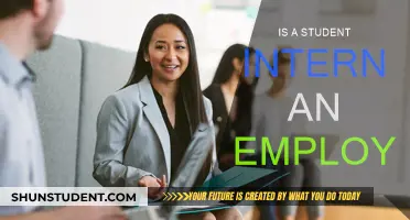 Internship: Student or Employee?