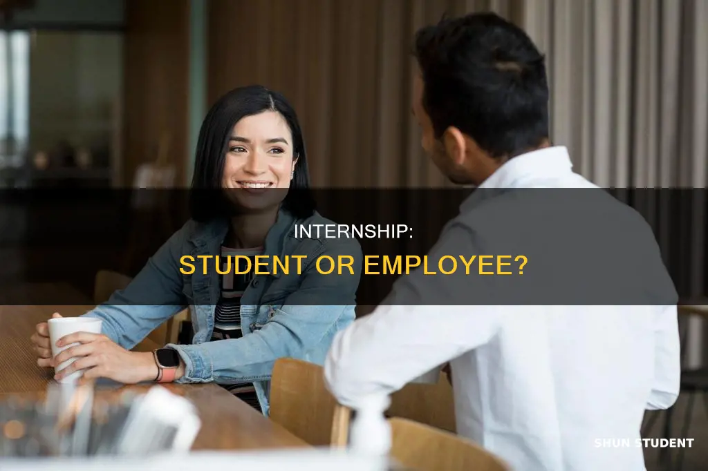 is a student intern an employee