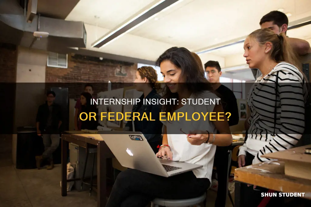 is a student interns a federal employee