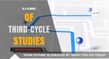 Exploring the Journey of Third-Cycle Studies: A Student's Perspective