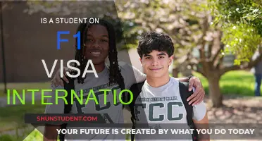 F1 Visa: International Students' US Gateway