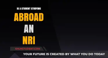 Exploring NRI Status for Students Studying Abroad: A Comprehensive Guide