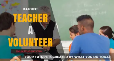 Are Student Teachers Volunteers? Exploring Roles, Responsibilities, and Compensation