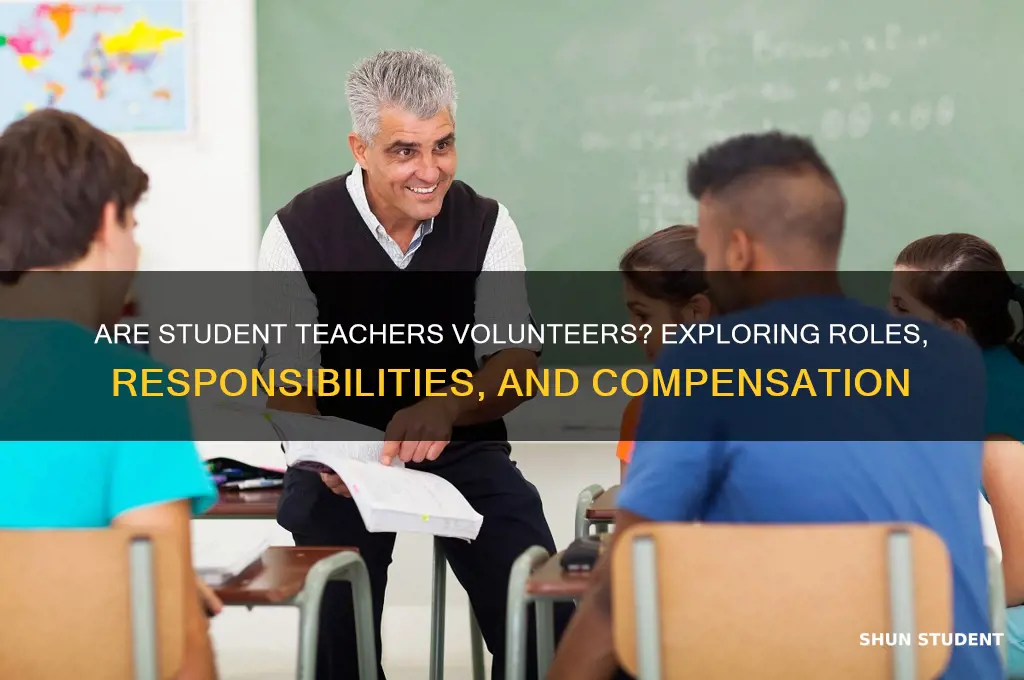is a student teacher a volunteer