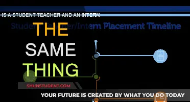 Exploring Student Teachers and Interns: What's the Difference?