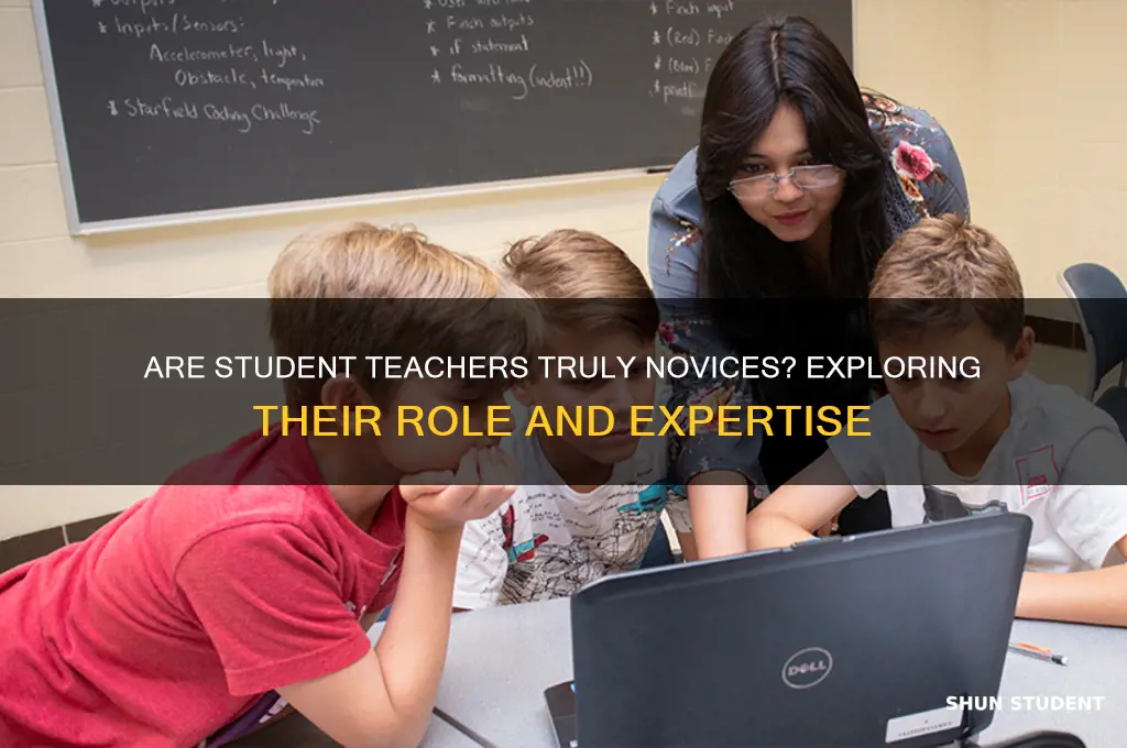 is a student teacher considered a novice