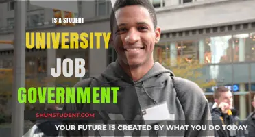 Balancing Student Life: University, Work, and Government