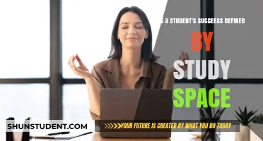 Unlocking Potential: The Impact of Study Space on Student Success