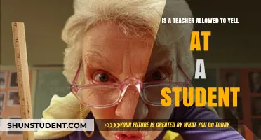 Is Yelling Acceptable? Exploring Teachers' Boundaries with Students
