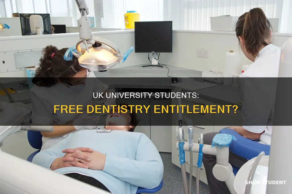 is a uk university student entitled to free dentistry