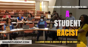 University Professors: Can They Call Out Racist Students?