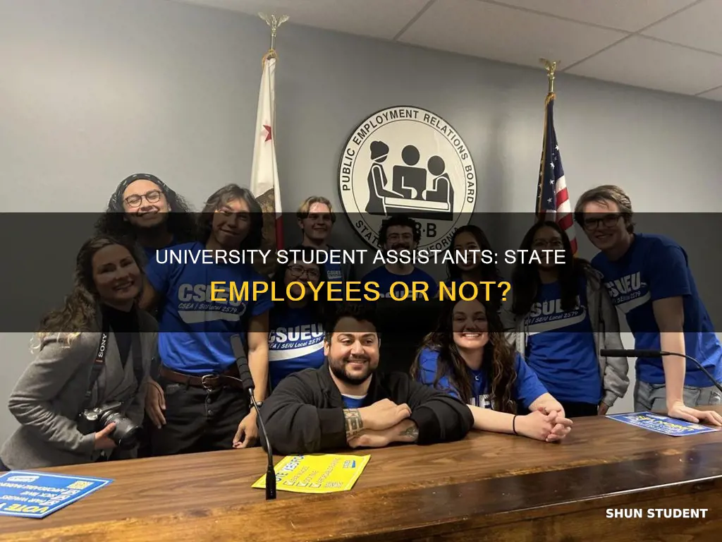is a university student assistant a state employee