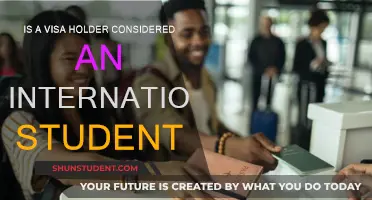 Visa Holders: International Students or Not?