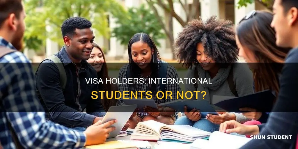 is a visa holder considered an international student
