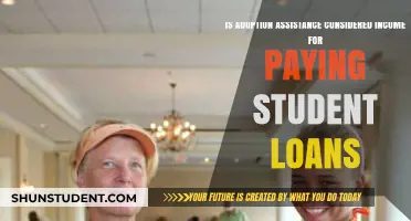 Adoption Assistance and Student Loans: Does It Count as Income?