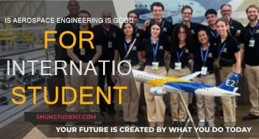 Aerospace Engineering: A Global Career Prospect
