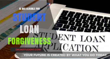 Is AES Eligible for Student Loan Forgiveness? Key Facts Explained