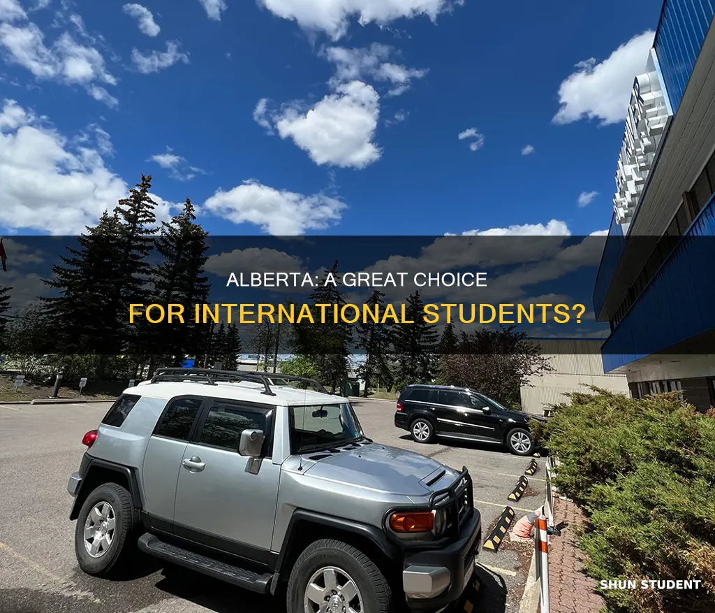 is alberta good for international students