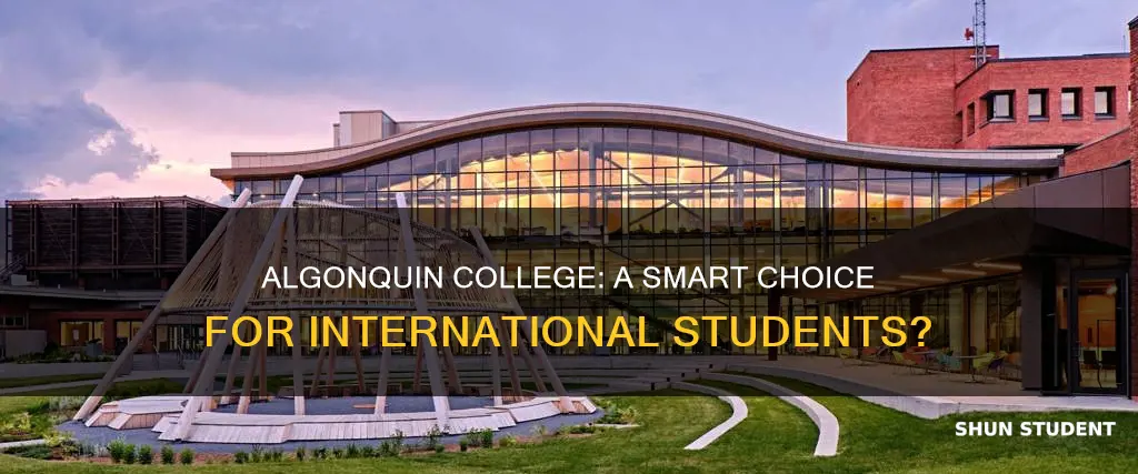 is algonquin college good for international students