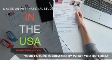 Alien's Academic Journey: An International Student's Tale in the USA