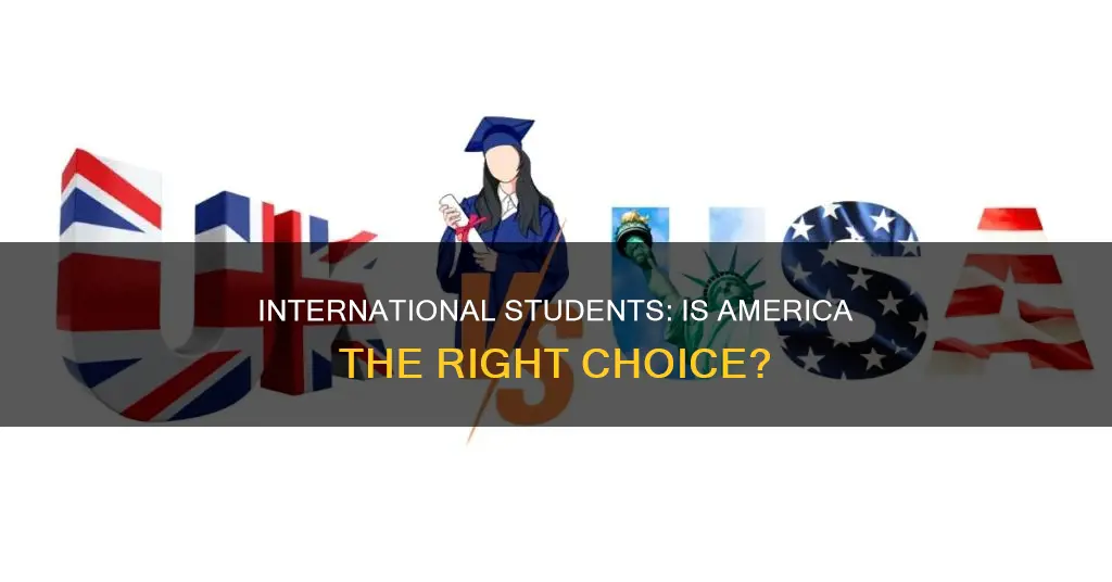 is america right for international students