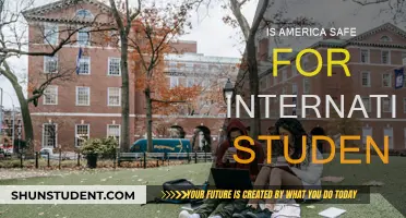 Safety of International Students in America: Is It Safe?