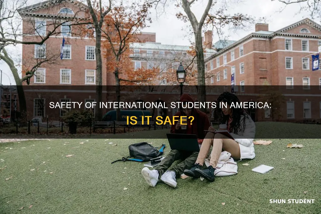 is america safe for international students
