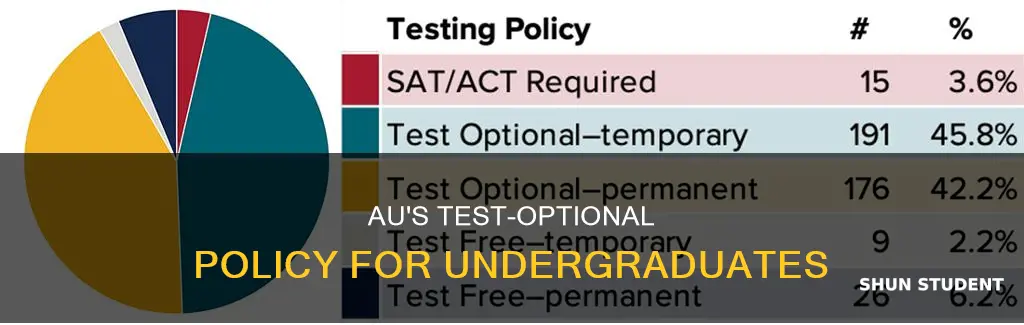 is american university test optional for undergraduate students