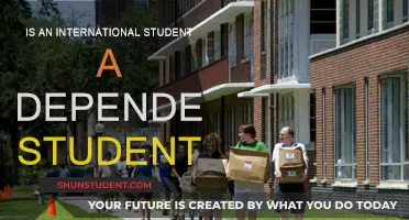 International Students: Are They Considered Dependents?