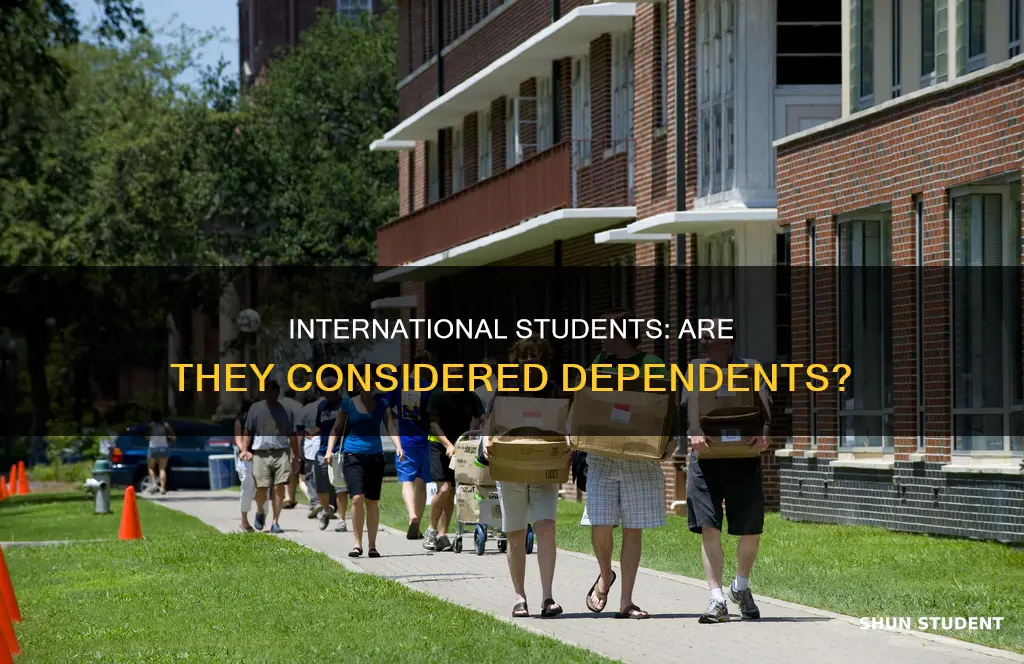 is an international student a dependent student