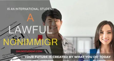 International Students: Lawful Nonimmigrant Status Explained