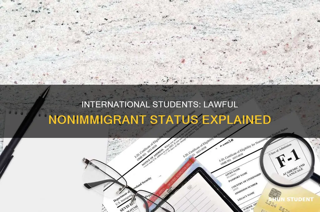 is an international student a lawful nonimmigrant