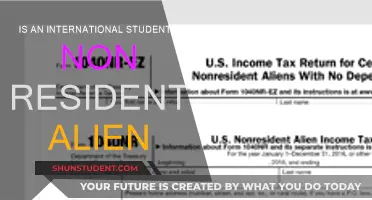 International Students: Non-Resident Alien Status Explained