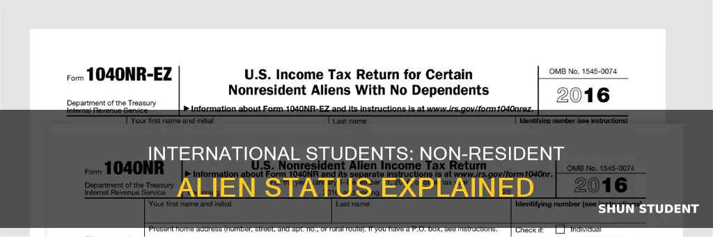 is an international student a non resident alien