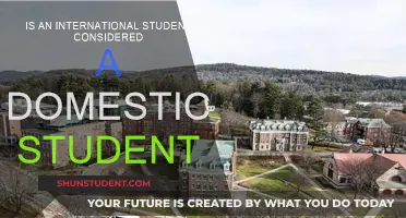 International Students: Domestic Status Eligibility Explained