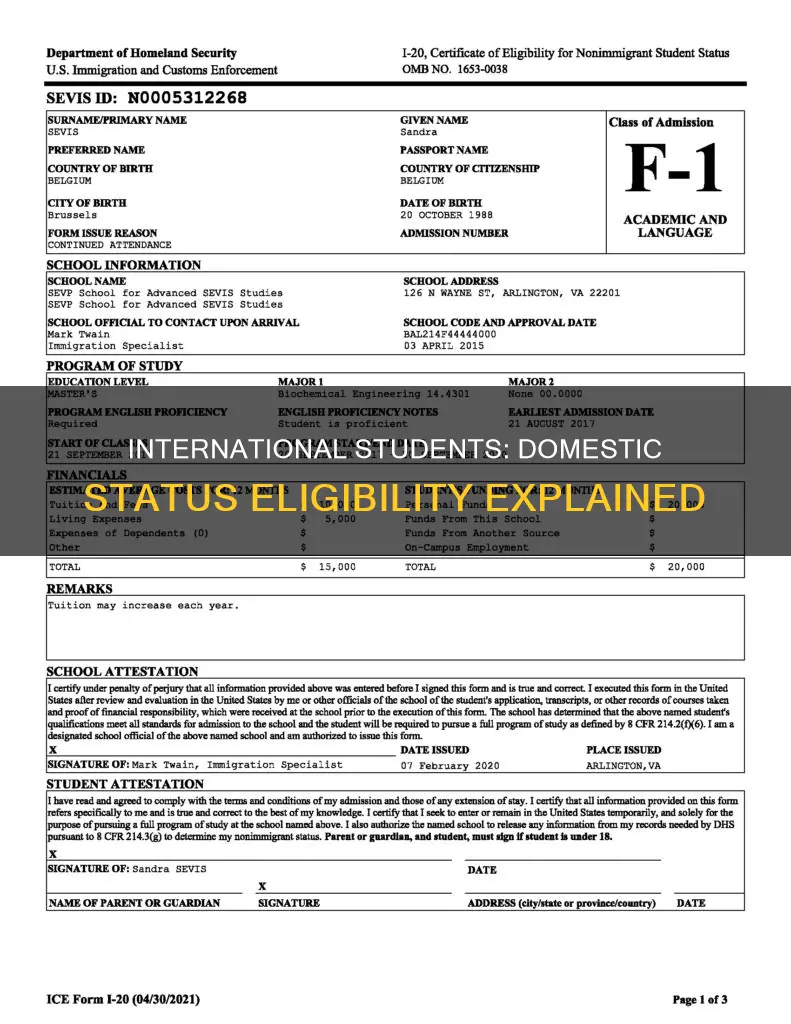 is an international student considered a domestic student