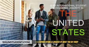 International Students: A Minority in the US?