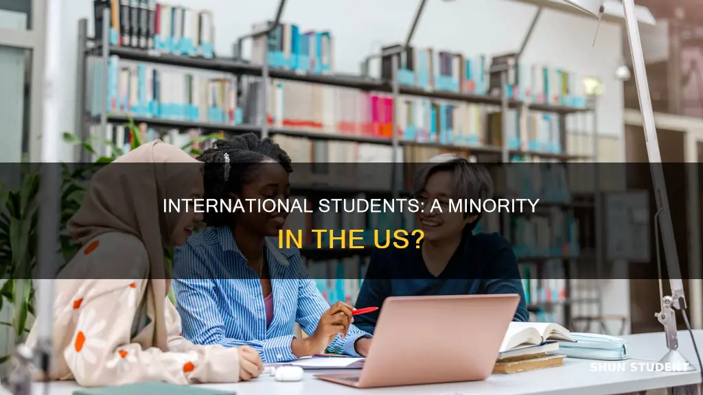 is an international student considered minority in the united states